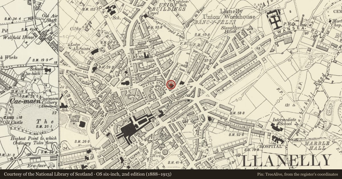 Ordnance Survey six-inch map, 2nd edition (1888–1913) covering the location of Zion Baptist Chapel, including Forecourt Railings, Llanelli, Carmarthenshire, with a pin at the register's coordinates