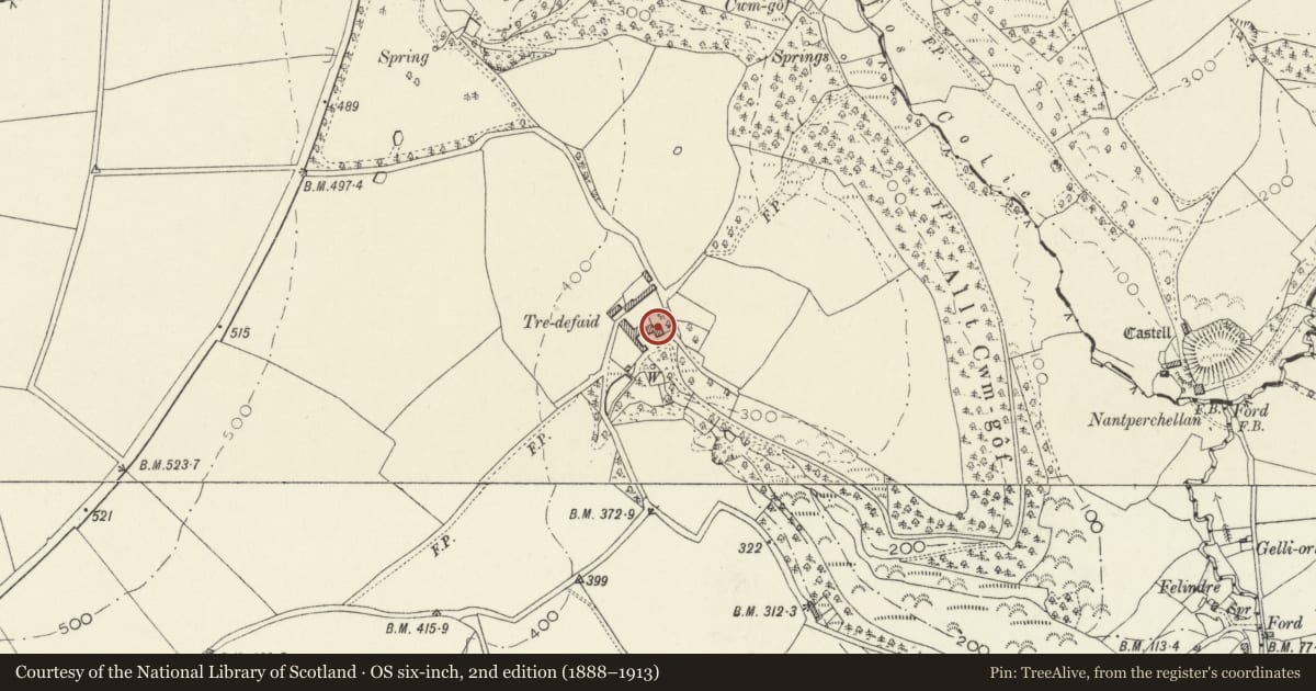 Ordnance Survey six-inch map, 2nd edition (1888–1913) covering the location of Tredefaid, Cilgerran, Pembrokeshire, with a pin at the register's coordinates