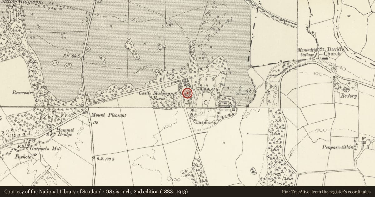 Ordnance Survey six-inch map, 2nd edition (1888–1913) covering the location of Main Farmyard Group at Castle Malgwyn Farm, Manordeifi, Pembrokeshire, with a pin at the register's coordinates