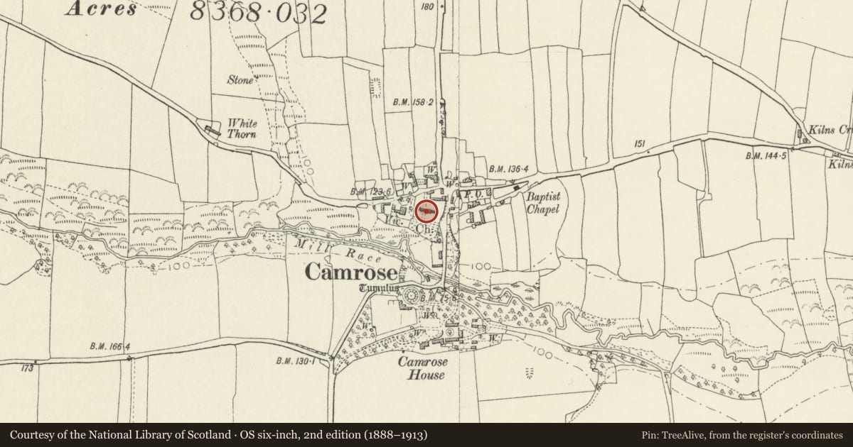 Ordnance Survey six-inch map, 2nd edition (1888–1913) covering the location of Church of St Ishmael, Camrose, Pembrokeshire, with a pin at the register's coordinates