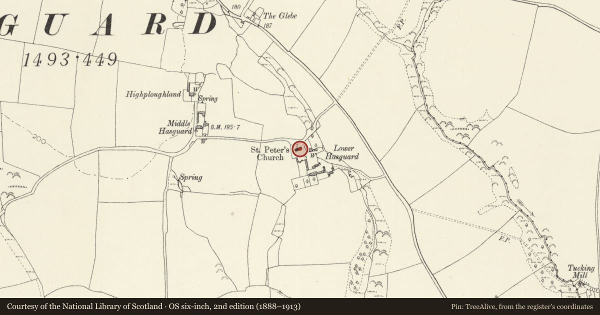 Ordnance Survey six-inch map, 2nd edition (1888–1913) covering the location of Church of Saint Peter, Walwyn's Castle, Pembrokeshire, with a pin at the register's coordinates