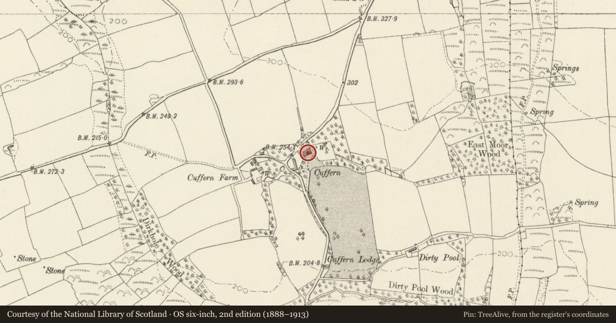 Ordnance Survey six-inch map, 2nd edition (1888–1913) covering the location of Cuffern, Nolton and Roch, Pembrokeshire, with a pin at the register's coordinates
