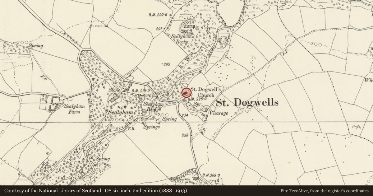 Ordnance Survey six-inch map, 2nd edition (1888–1913) covering the location of Church of Saint Dogfael, Wolfscastle, Pembrokeshire, with a pin at the register's coordinates