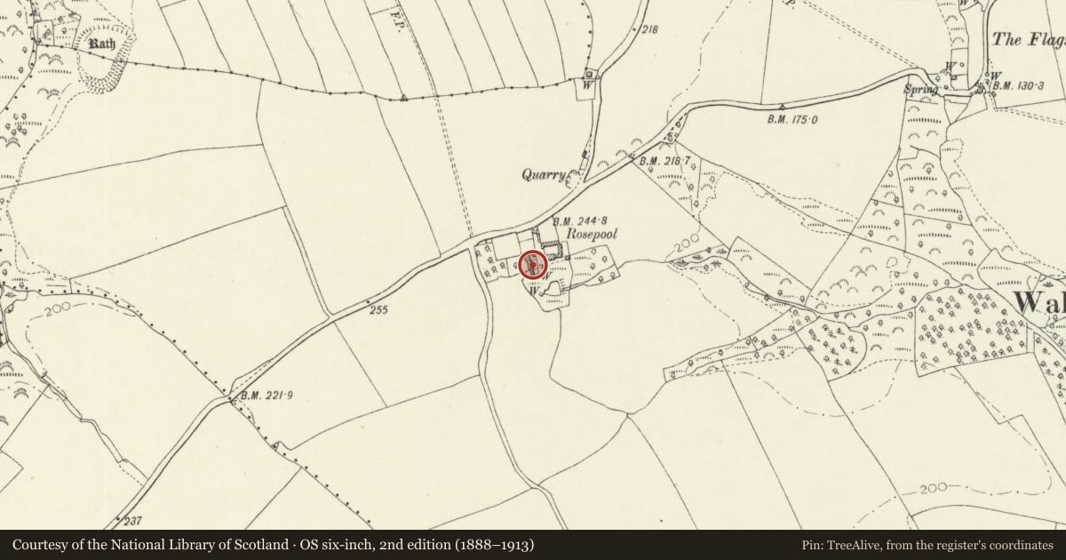 Ordnance Survey six-inch map, 2nd edition (1888–1913) covering the location of Rosepool, Walwyn's Castle, Pembrokeshire, with a pin at the register's coordinates