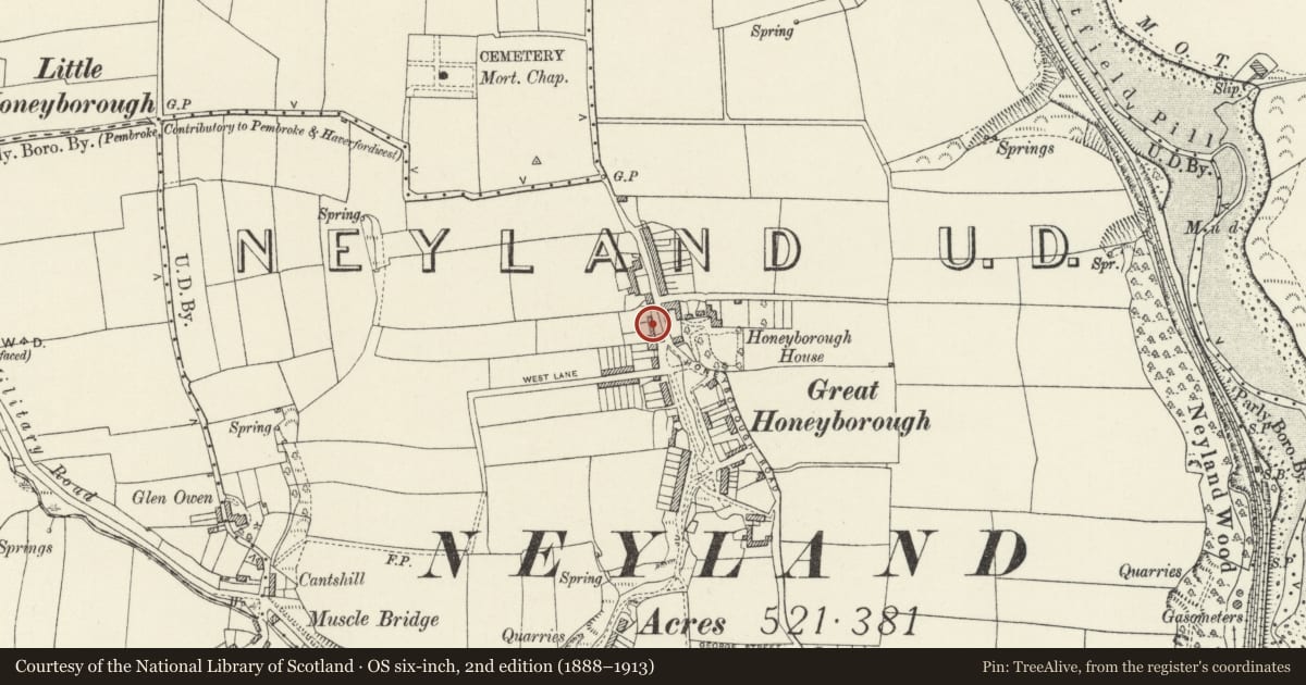 Ordnance Survey six-inch map, 2nd edition (1888–1913) covering the location of Honeyborough Dairy, Neyland, Pembrokeshire, with a pin at the register's coordinates