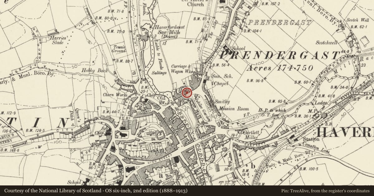 Ordnance Survey six-inch map, 2nd edition (1888–1913) covering the location of 18 Old Bridge, Haverfordwest, Pembrokeshire, with a pin at the register's coordinates