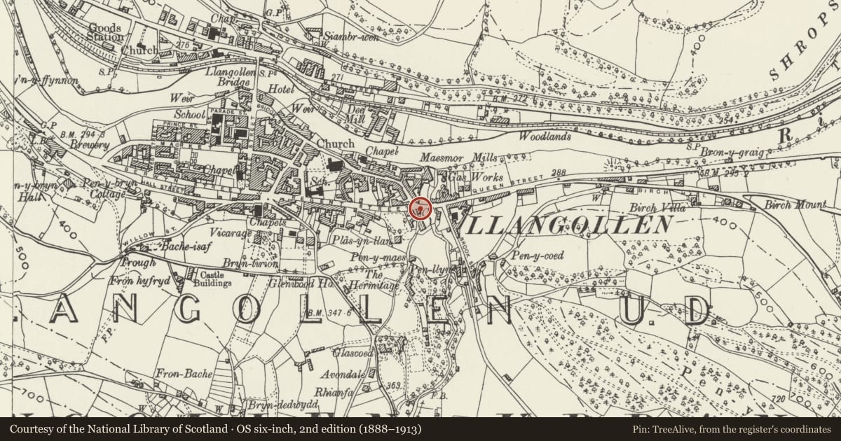 Ordnance Survey six-inch map, 2nd edition (1888–1913) covering the location of D.Dulson & Sons, Llangollen, Denbighshire, with a pin at the register's coordinates