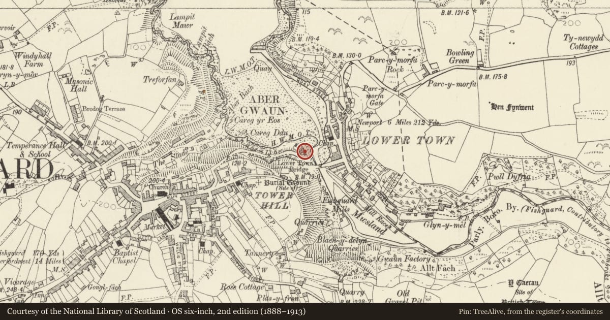 Ordnance Survey six-inch map, 2nd edition (1888–1913) covering the location of Training Ship Skirmisher, Fishguard and Goodwick, Pembrokeshire, with a pin at the register's coordinates