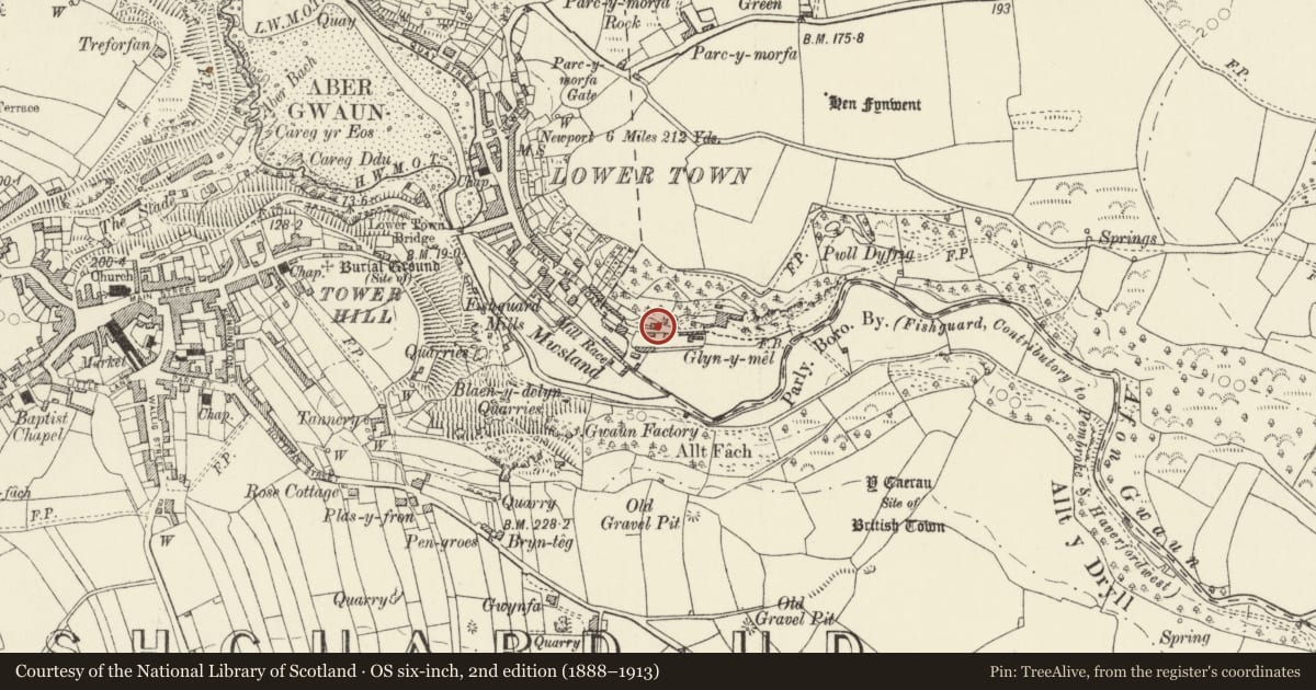 Ordnance Survey six-inch map, 2nd edition (1888–1913) covering the location of Glyn-y-Mel Cottage (Cwm Cwsgi), Fishguard and Goodwick, Pembrokeshire, with a pin at the register's coordinates
