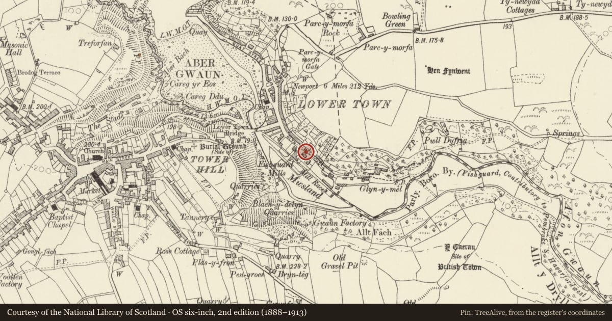 Ordnance Survey six-inch map, 2nd edition (1888–1913) covering the location of 20 Glyn-y-Mel Road, Fishguard and Goodwick, Pembrokeshire, with a pin at the register's coordinates