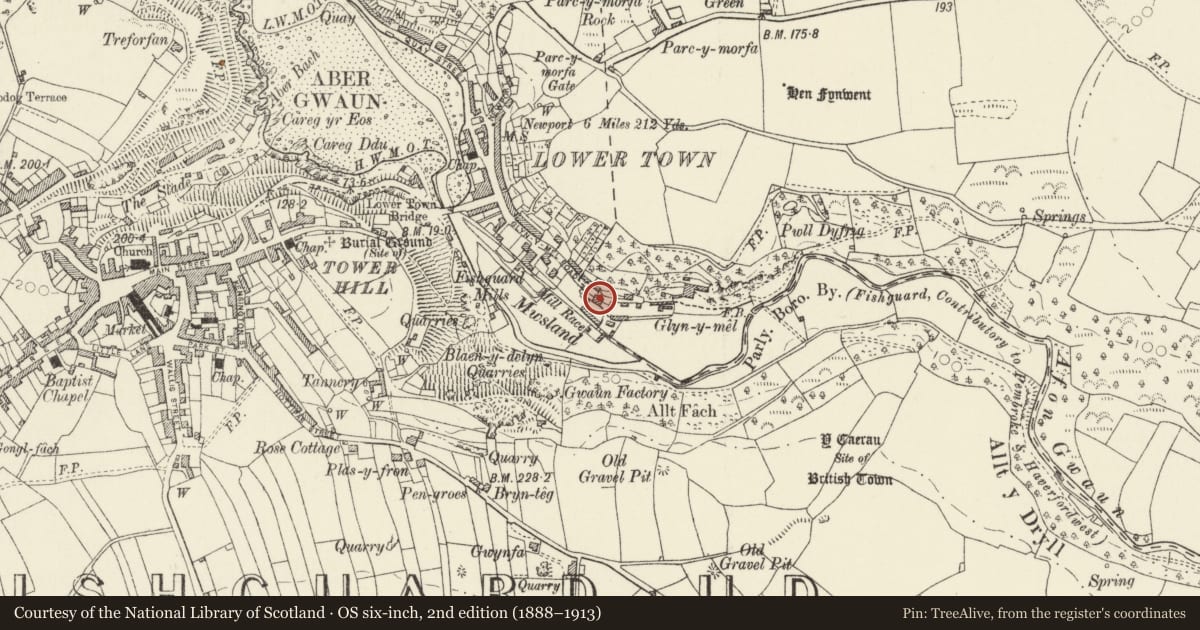 Ordnance Survey six-inch map, 2nd edition (1888–1913) covering the location of Cleals, Fishguard and Goodwick, Pembrokeshire, with a pin at the register's coordinates