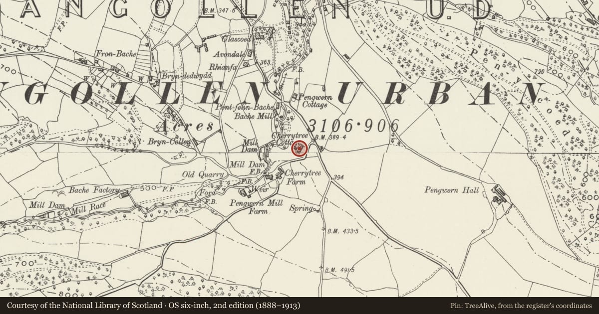 Ordnance Survey six-inch map, 2nd edition (1888–1913) covering the location of Cherrytree Cottage, Llangollen, Denbighshire, with a pin at the register's coordinates