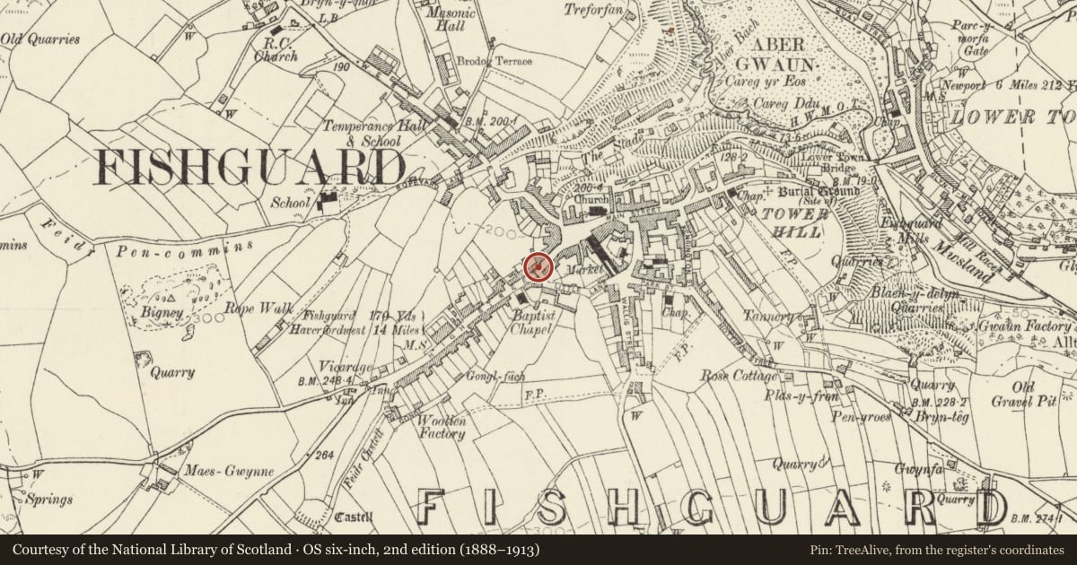 Ordnance Survey six-inch map, 2nd edition (1888–1913) covering the location of 14 High Street, Fishguard and Goodwick, Pembrokeshire, with a pin at the register's coordinates
