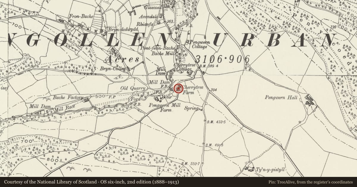 Ordnance Survey six-inch map, 2nd edition (1888–1913) covering the location of Cherrytree Farmhouse, Llangollen, Denbighshire, with a pin at the register's coordinates