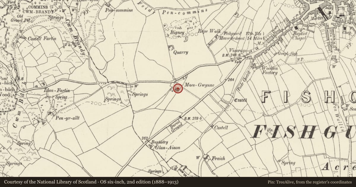 Ordnance Survey six-inch map, 2nd edition (1888–1913) covering the location of Maesgwynne, Fishguard and Goodwick, Pembrokeshire, with a pin at the register's coordinates