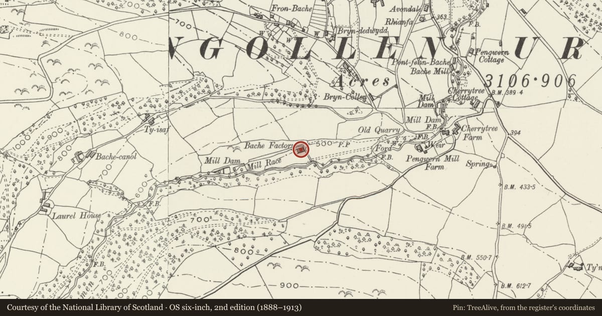 Ordnance Survey six-inch map, 2nd edition (1888–1913) covering the location of Ty Brethyn, Llangollen, Denbighshire, with a pin at the register's coordinates
