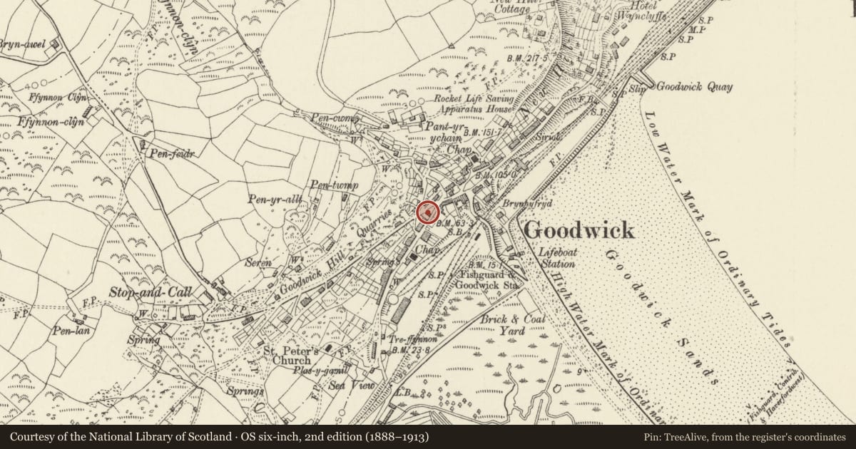 Ordnance Survey six-inch map, 2nd edition (1888–1913) covering the location of Swansea House (Ty Abertawe), Fishguard and Goodwick, Pembrokeshire, with a pin at the register's coordinates