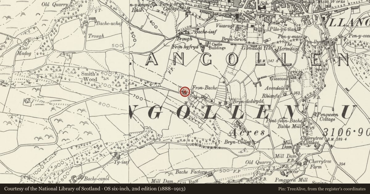 Ordnance Survey six-inch map, 2nd edition (1888–1913) covering the location of Ceirios, Llangollen, Denbighshire, with a pin at the register's coordinates