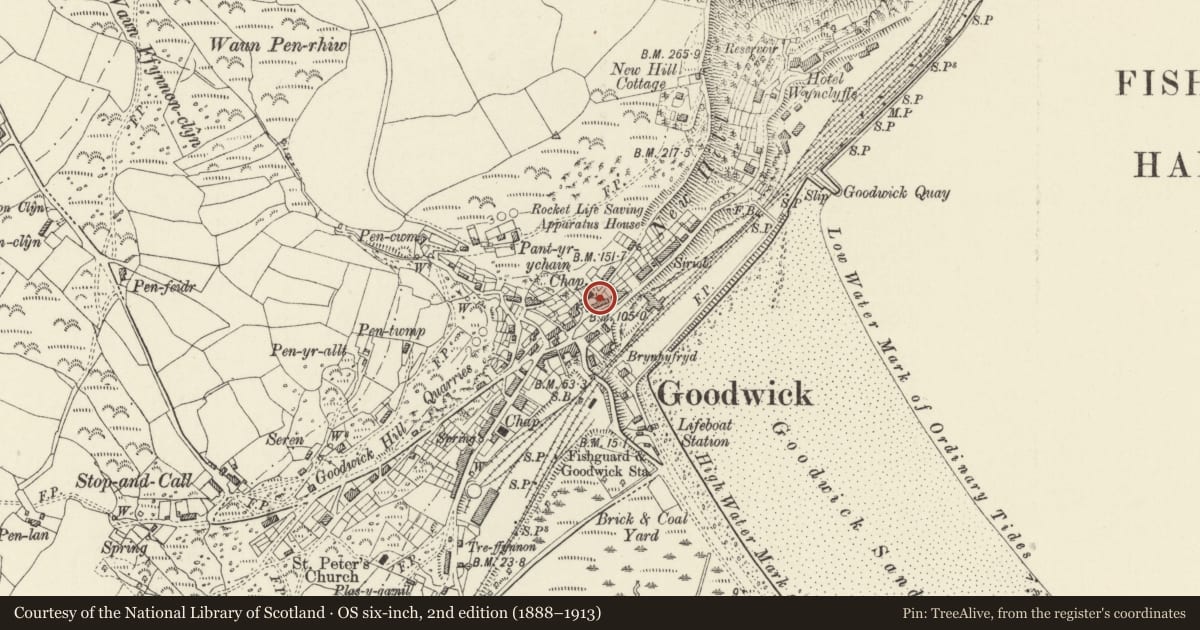 Ordnance Survey six-inch map, 2nd edition (1888–1913) covering the location of Berachah Cottage, Fishguard and Goodwick, Pembrokeshire, with a pin at the register's coordinates