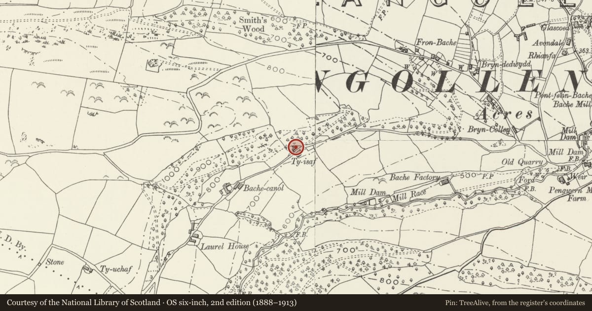 Ordnance Survey six-inch map, 2nd edition (1888–1913) covering the location of Cae Glas Farmhouse, Llangollen, Denbighshire, with a pin at the register's coordinates