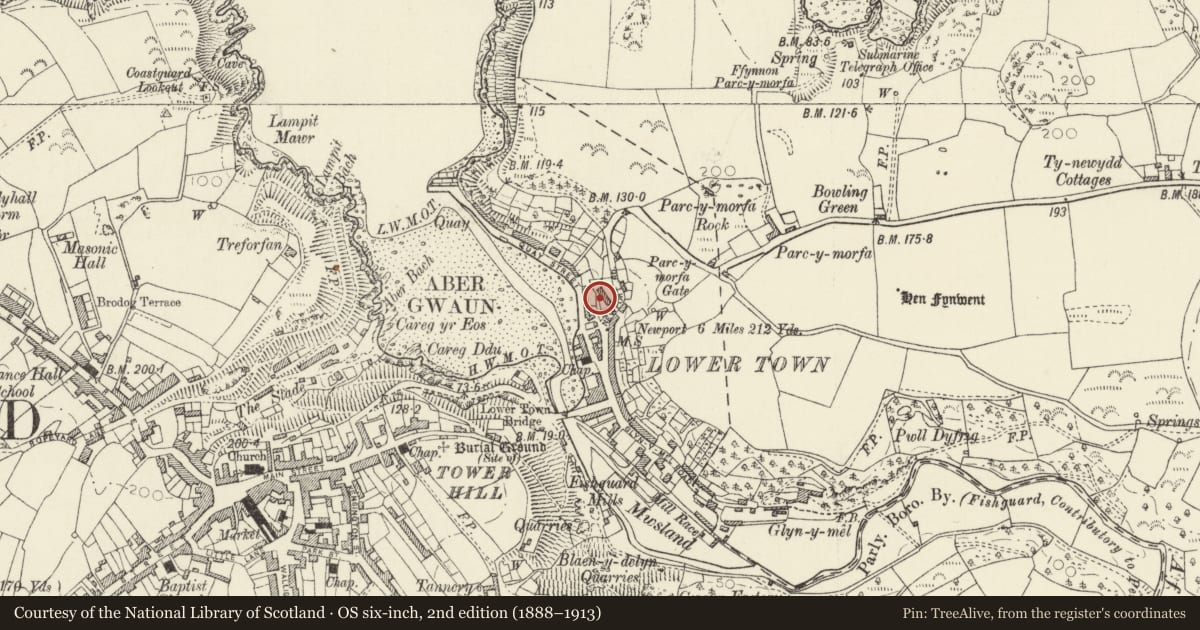 Ordnance Survey six-inch map, 2nd edition (1888–1913) covering the location of West wall and railings to garden at Bodmor, Fishguard and Goodwick, Pembrokeshire, with a pin at the register's coordinates