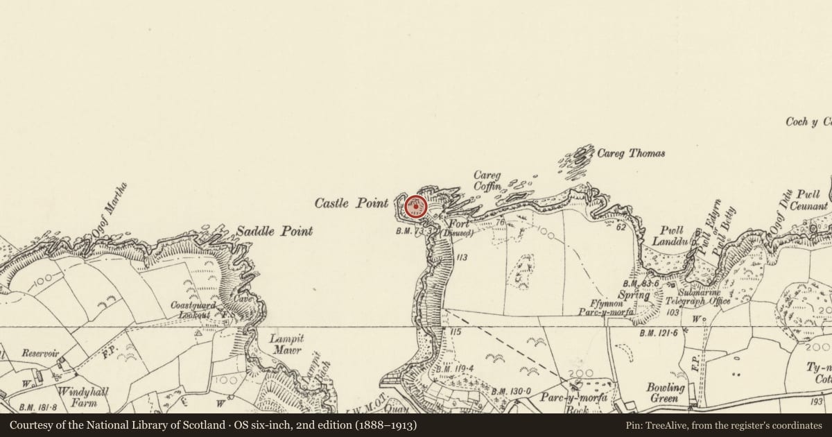 Ordnance Survey six-inch map, 2nd edition (1888–1913) covering the location of Fishguard Fort, Fishguard and Goodwick, Pembrokeshire, with a pin at the register's coordinates