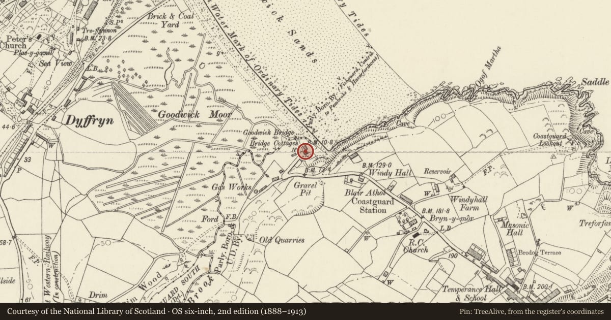 Ordnance Survey six-inch map, 2nd edition (1888–1913) covering the location of Bridge Cottages, Fishguard and Goodwick, Pembrokeshire, with a pin at the register's coordinates