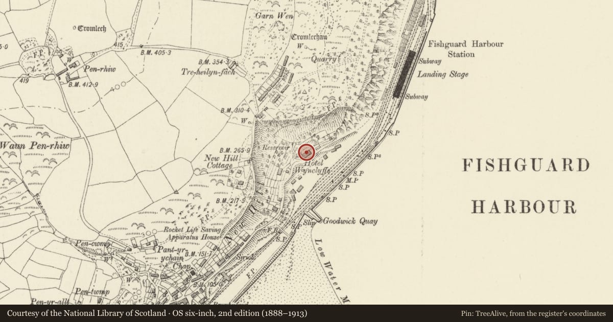 Ordnance Survey six-inch map, 2nd edition (1888–1913) covering the location of Fishguard Bay Hotel, Fishguard and Goodwick, Pembrokeshire, with a pin at the register's coordinates