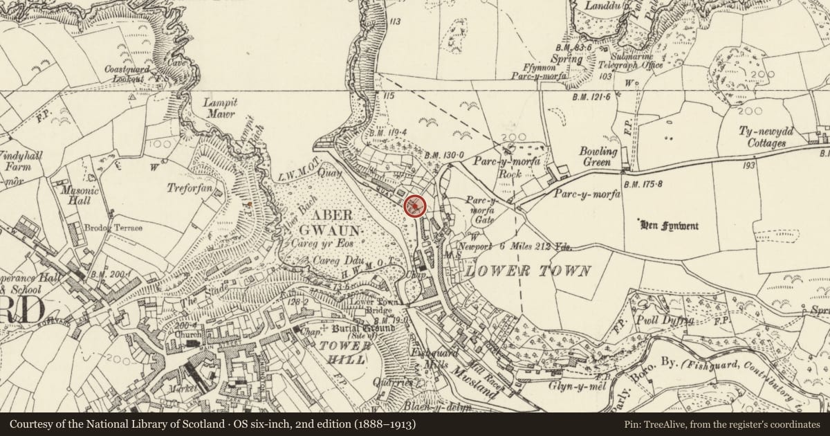 Ordnance Survey six-inch map, 2nd edition (1888–1913) covering the location of 19 Quay Street, Fishguard and Goodwick, Pembrokeshire, with a pin at the register's coordinates