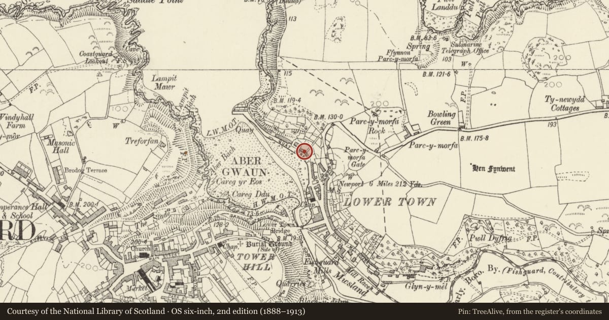 Ordnance Survey six-inch map, 2nd edition (1888–1913) covering the location of 21 Quay Street, incl decorative cobbled forecourt, Fishguard and Goodwick, Pembrokeshire, with a pin at the register's coordinates