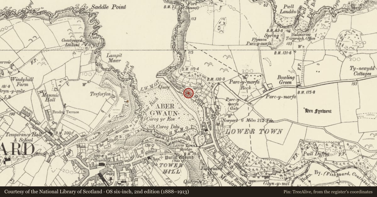 Ordnance Survey six-inch map, 2nd edition (1888–1913) covering the location of 33 Quay Street, Fishguard and Goodwick, Pembrokeshire, with a pin at the register's coordinates