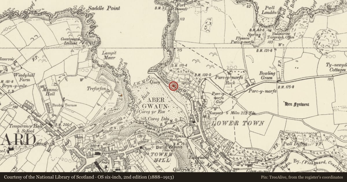 Ordnance Survey six-inch map, 2nd edition (1888–1913) covering the location of 37 Quay Street, Fishguard and Goodwick, Pembrokeshire, with a pin at the register's coordinates