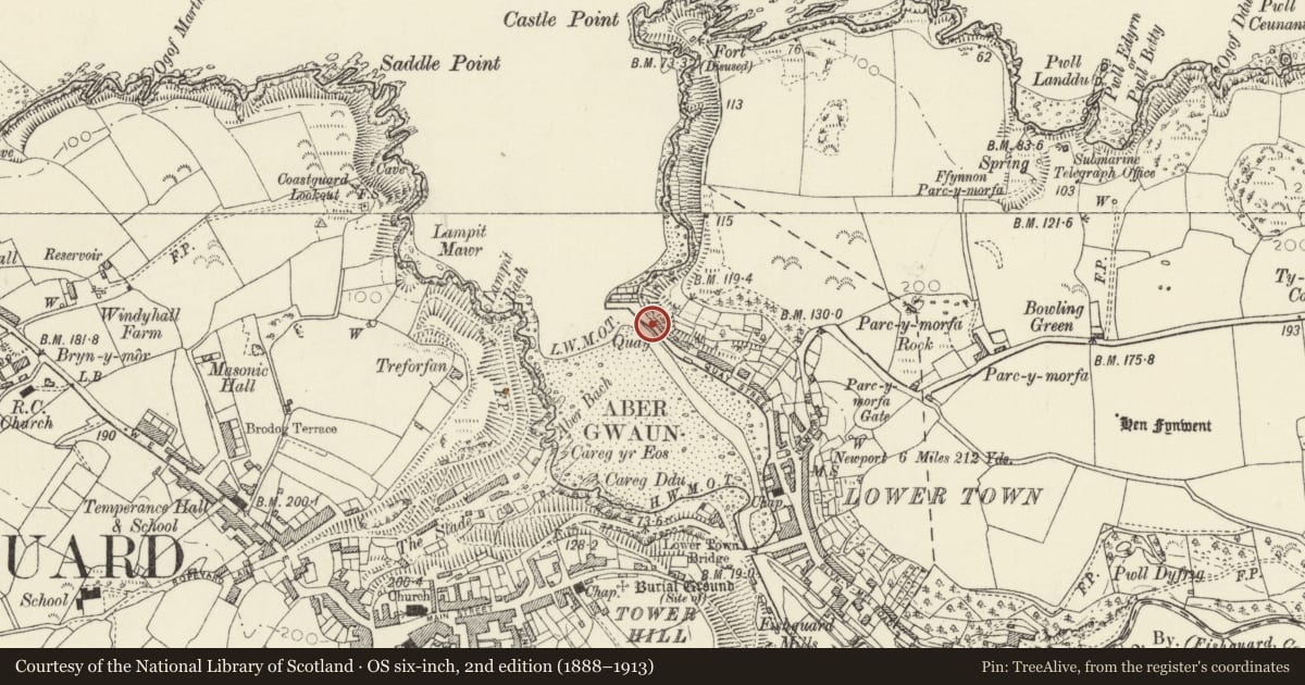 Ordnance Survey six-inch map, 2nd edition (1888–1913) covering the location of The Quay, including slipway, bollard and flights of steps, Fishguard and Goodwick, Pembrokeshire, with a pin at the register's coordinates