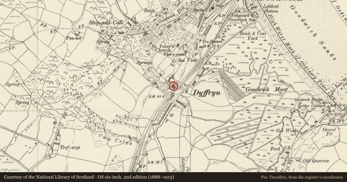 Ordnance Survey six-inch map, 2nd edition (1888–1913) covering the location of Dyffryn House, Fishguard and Goodwick, Pembrokeshire, with a pin at the register's coordinates