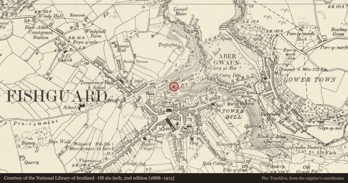 Ordnance Survey six-inch map, 2nd edition (1888–1913) covering the location of The Monthly Tutor's Cottage, Fishguard and Goodwick, Pembrokeshire, with a pin at the register's coordinates
