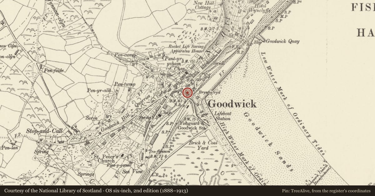 Ordnance Survey six-inch map, 2nd edition (1888–1913) covering the location of Rosslyn, Fishguard and Goodwick, Pembrokeshire, with a pin at the register's coordinates