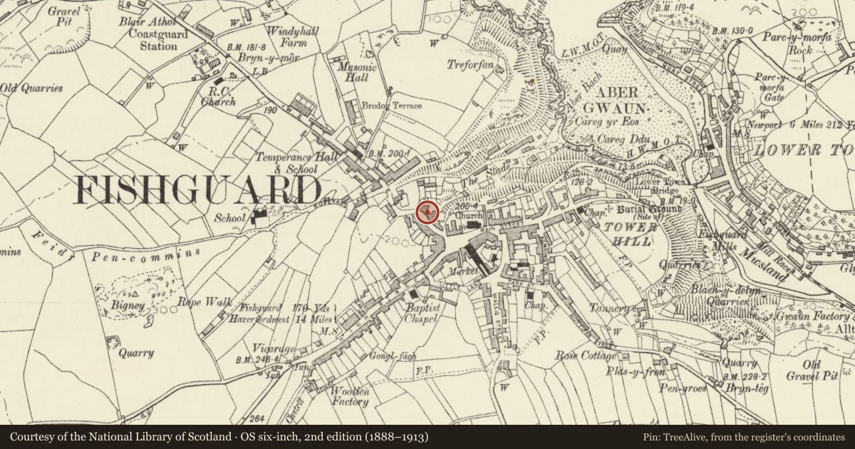 Ordnance Survey six-inch map, 2nd edition (1888–1913) covering the location of Seaways Bookshop, Fishguard and Goodwick, Pembrokeshire, with a pin at the register's coordinates