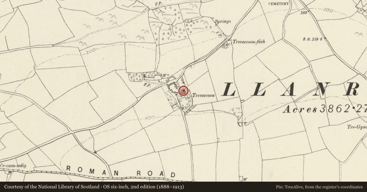 Ordnance Survey six-inch map, 2nd edition (1888–1913) covering the location of Trevacoon, Llanrhian, Pembrokeshire, with a pin at the register's coordinates