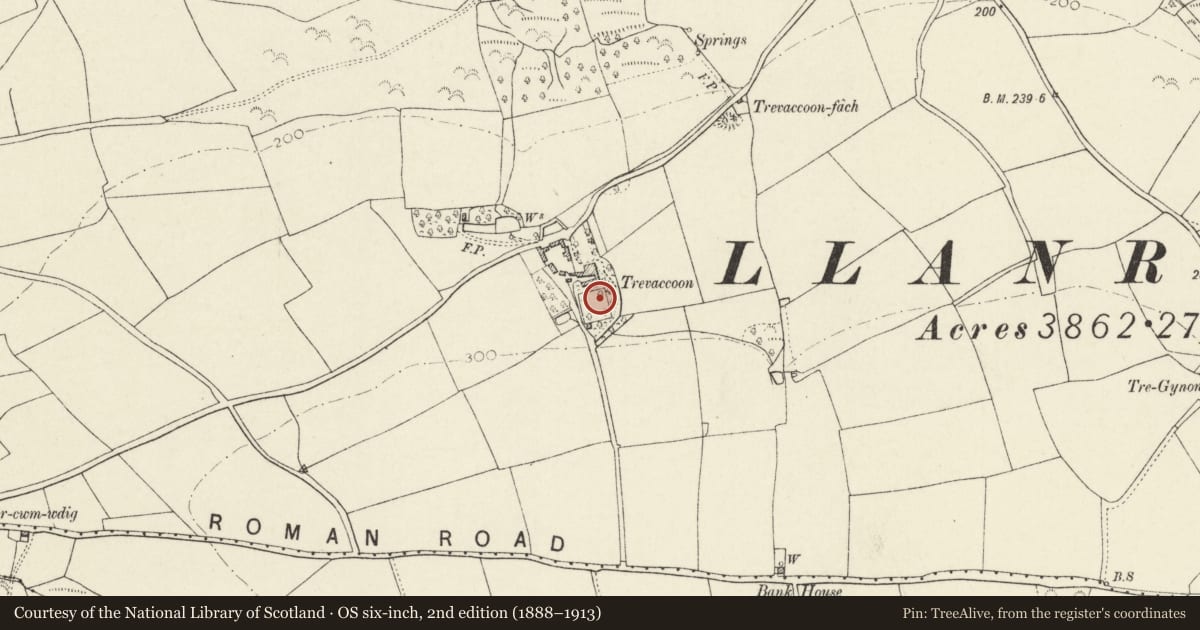 Ordnance Survey six-inch map, 2nd edition (1888–1913) covering the location of Walls to walled garden at Trevacoon, Llanrhian, Pembrokeshire, with a pin at the register's coordinates