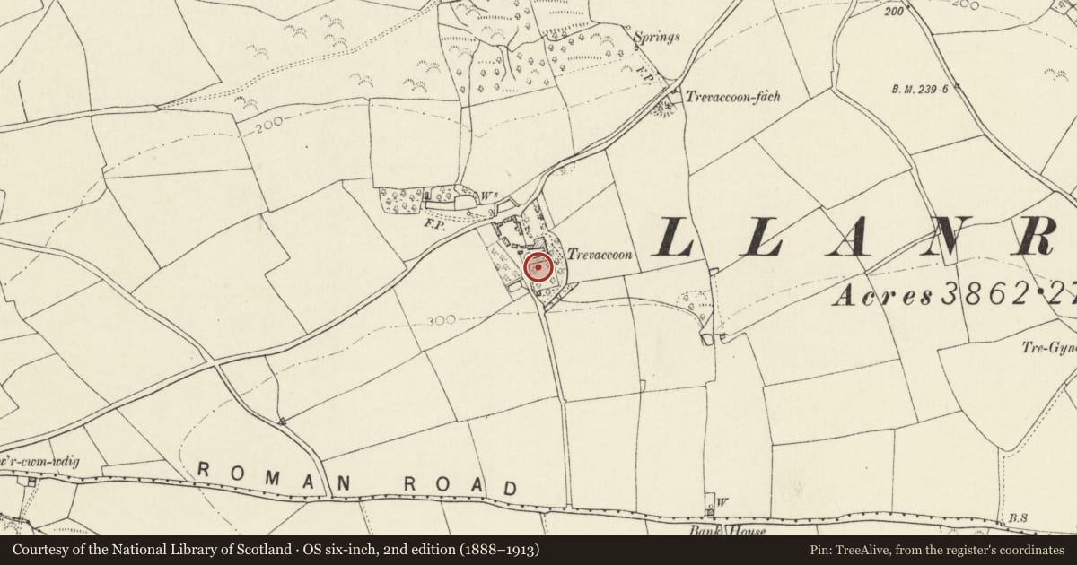 Ordnance Survey six-inch map, 2nd edition (1888–1913) covering the location of Outbuilding attached at SW.Angle to walled garden at Trevacoon, Llanrhian, Pembrokeshire, with a pin at the register's coordinates
