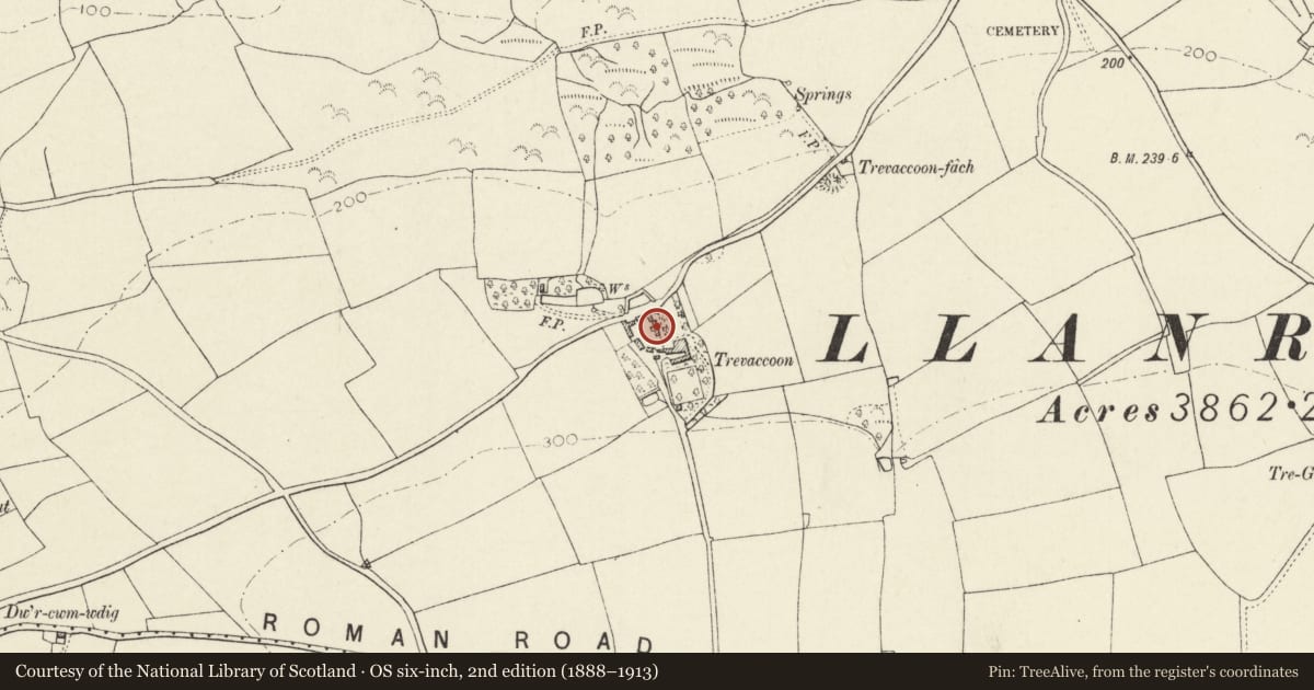 Ordnance Survey six-inch map, 2nd edition (1888–1913) covering the location of Outbuilding, former stable, on E.side of Farmyard at Trevacoon, Llanrhian, Pembrokeshire, with a pin at the register's coordinates