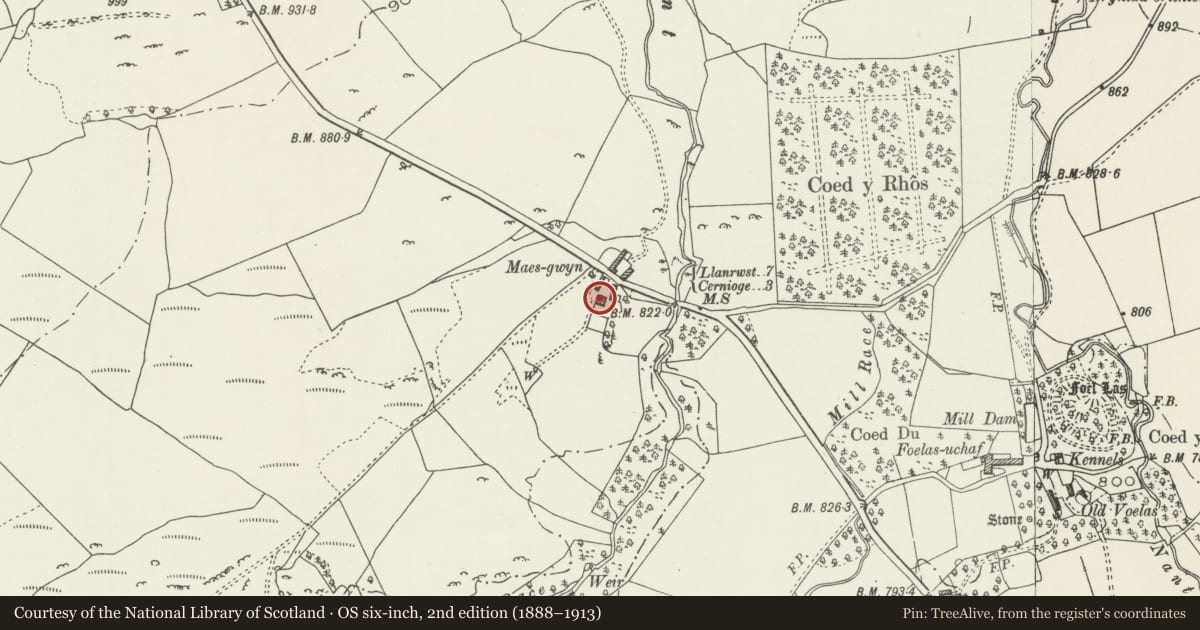 Ordnance Survey six-inch map, 2nd edition (1888–1913) covering the location of Maes-gwyn, Pentrefoelas, Conwy, with a pin at the register's coordinates
