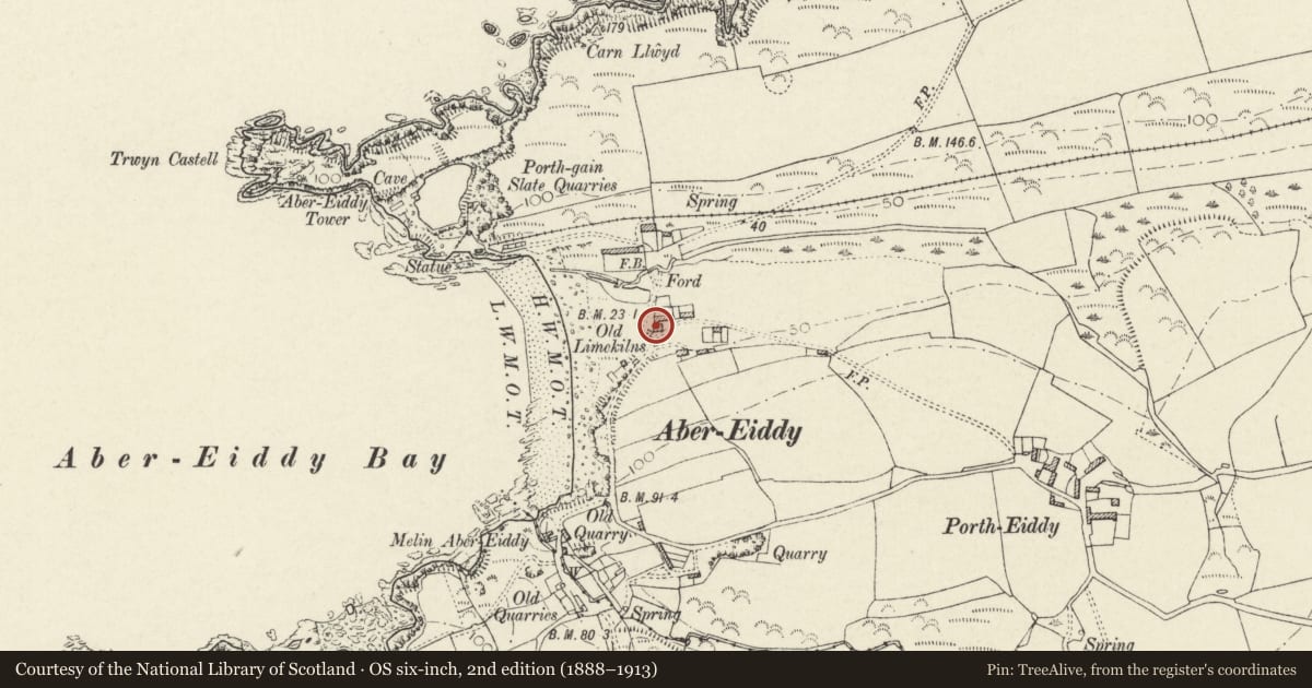 Ordnance Survey six-inch map, 2nd edition (1888–1913) covering the location of Abereiddy Beach Cottage, Llanrhian, Pembrokeshire, with a pin at the register's coordinates