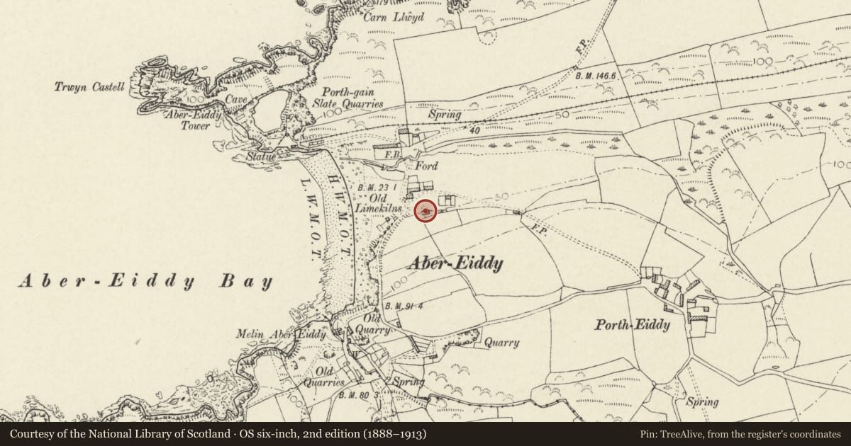 Ordnance Survey six-inch map, 2nd edition (1888–1913) covering the location of Bank House, Llanrhian, Pembrokeshire, with a pin at the register's coordinates