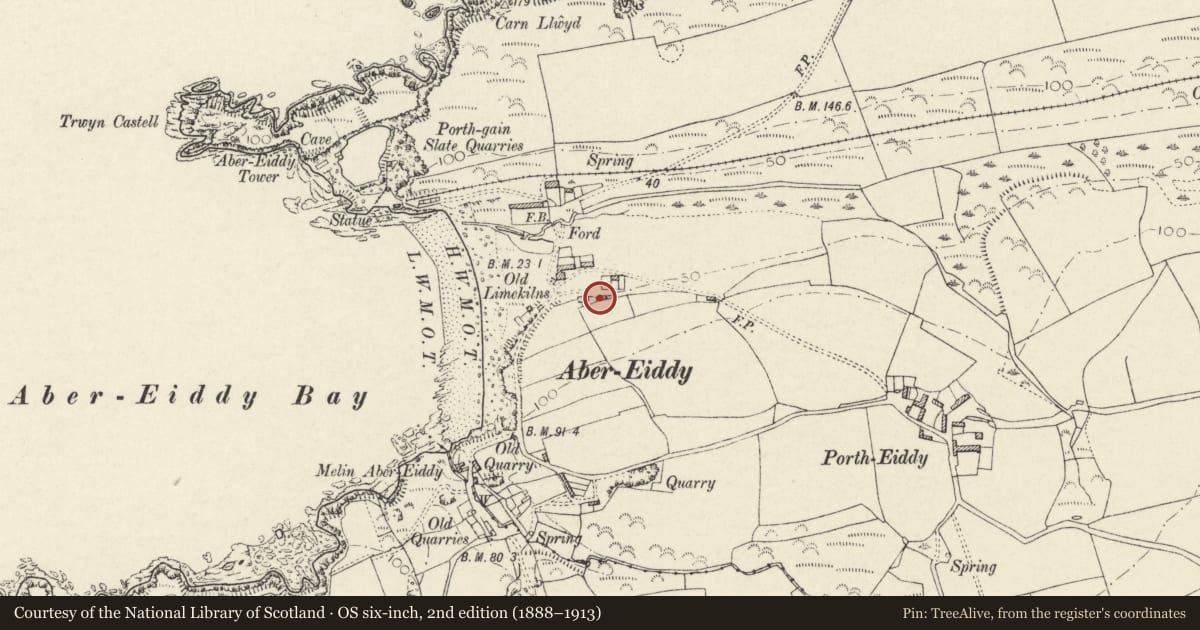 Ordnance Survey six-inch map, 2nd edition (1888–1913) covering the location of Bank Cottage, Llanrhian, Pembrokeshire, with a pin at the register's coordinates
