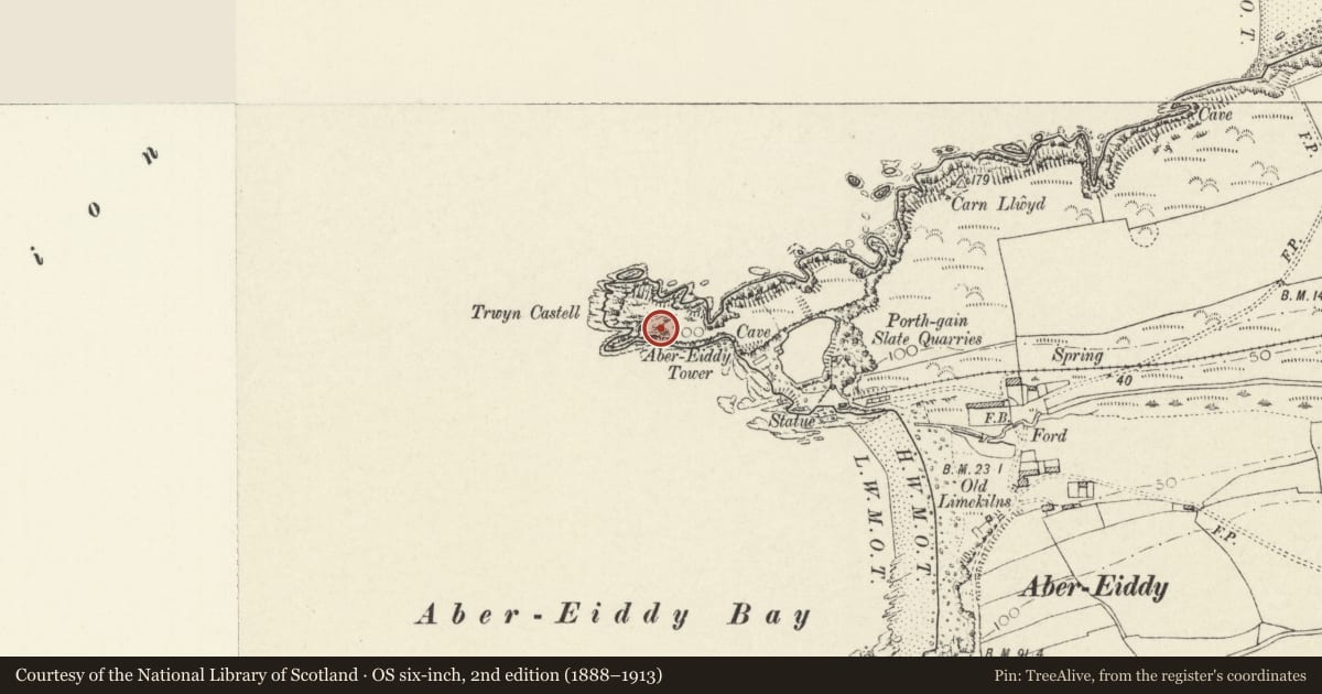 Ordnance Survey six-inch map, 2nd edition (1888–1913) covering the location of Abereiddy Tower, Llanrhian, Pembrokeshire, with a pin at the register's coordinates