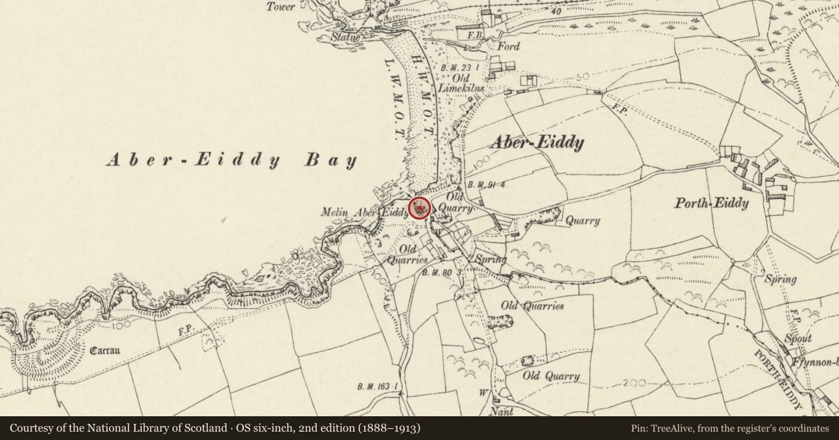 Ordnance Survey six-inch map, 2nd edition (1888–1913) covering the location of Melin Abereiddy, Llanrhian, Pembrokeshire, with a pin at the register's coordinates