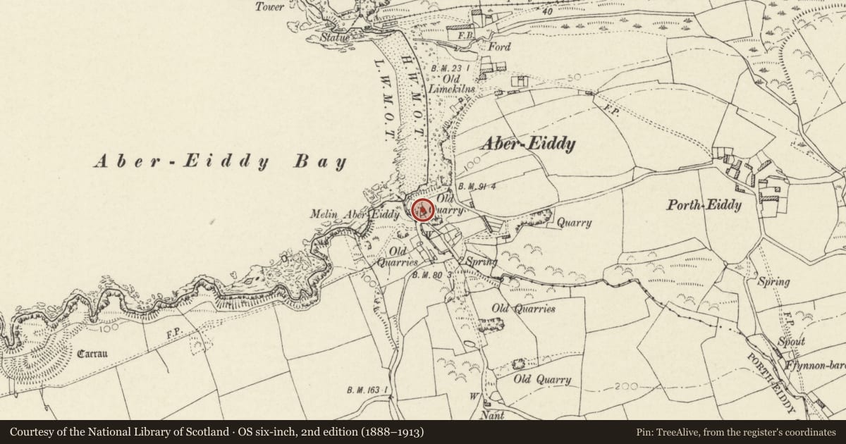 Ordnance Survey six-inch map, 2nd edition (1888–1913) covering the location of The Cwm, Llanrhian, Pembrokeshire, with a pin at the register's coordinates