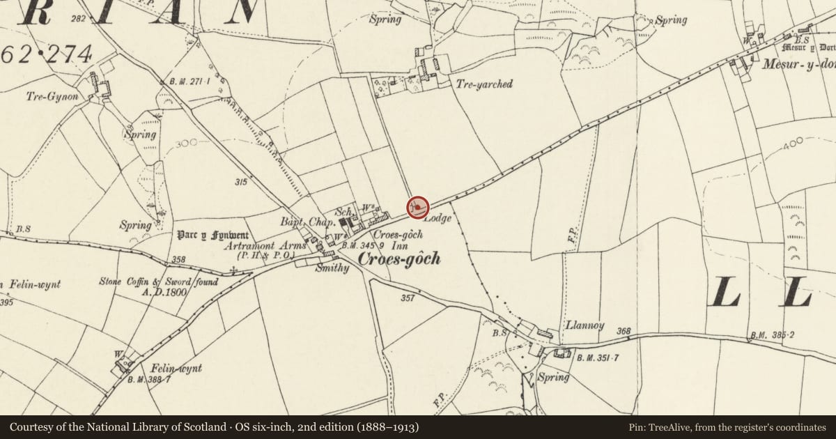 Ordnance Survey six-inch map, 2nd edition (1888–1913) covering the location of Y Lodge, Llanrhian, Pembrokeshire, with a pin at the register's coordinates
