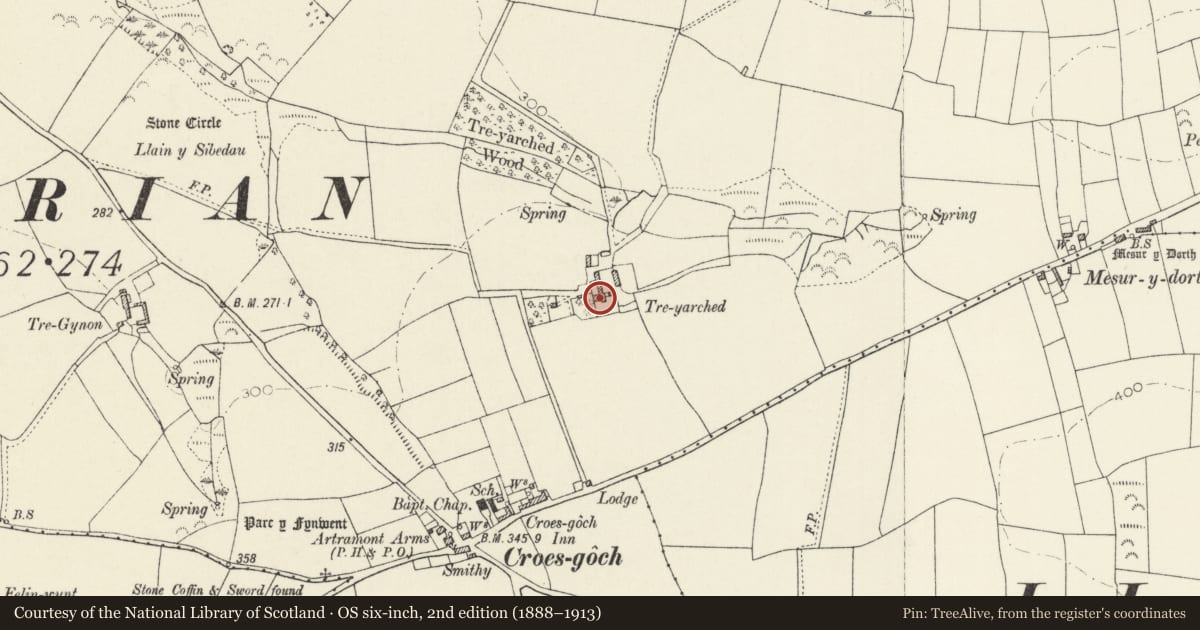 Ordnance Survey six-inch map, 2nd edition (1888–1913) covering the location of Trearched, Llanrhian, Pembrokeshire, with a pin at the register's coordinates